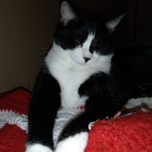 Fundraising Page: Alicia Calamia